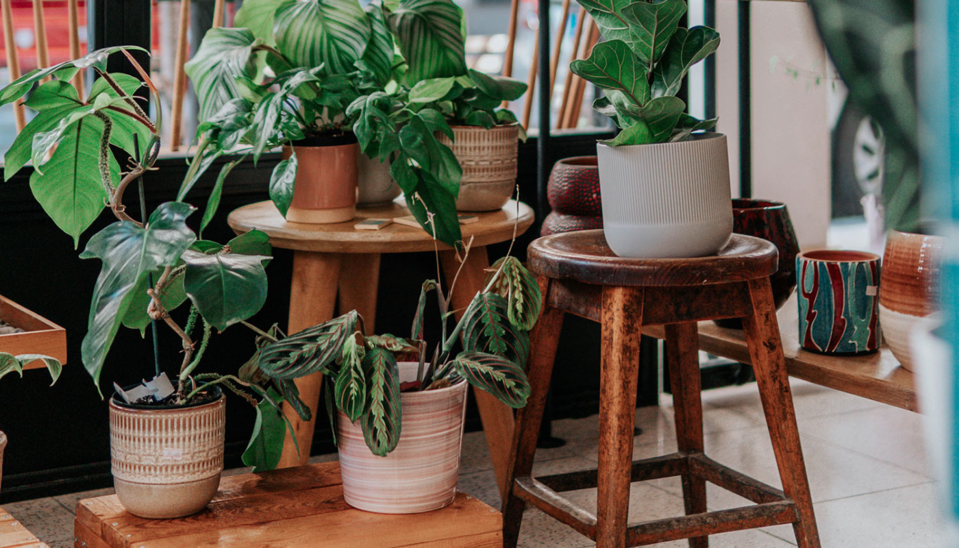 planten op slaapkamer